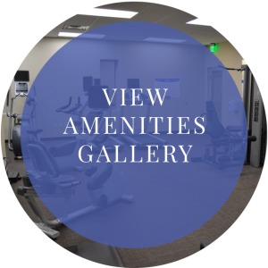 view-amenities-gallery